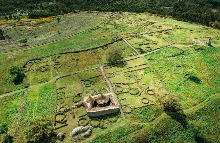 "National Geographic destaca tecnologia de startup da FCUP" - Noticias UP, 2025